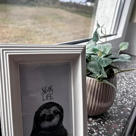 Faulpelz - Budget Mit Kueche, Badewanne Penzion Niederorschel